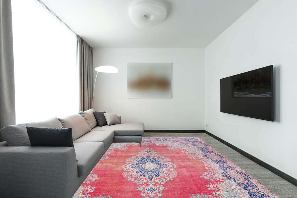 Large Washable Rug Indoor, in Modern Living Room with Grey Couch