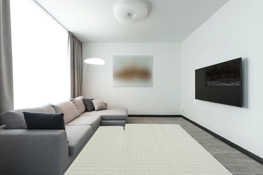 Safavieh Hampton Collection Area Rug - 8' x 10', Green, Non-Shedding & Easy Care, Indoor/Outdoor & Washable-Ideal for Patio, Backyard, Mudroom (HTN230Y) in Modern Living Room with Grey Couch
