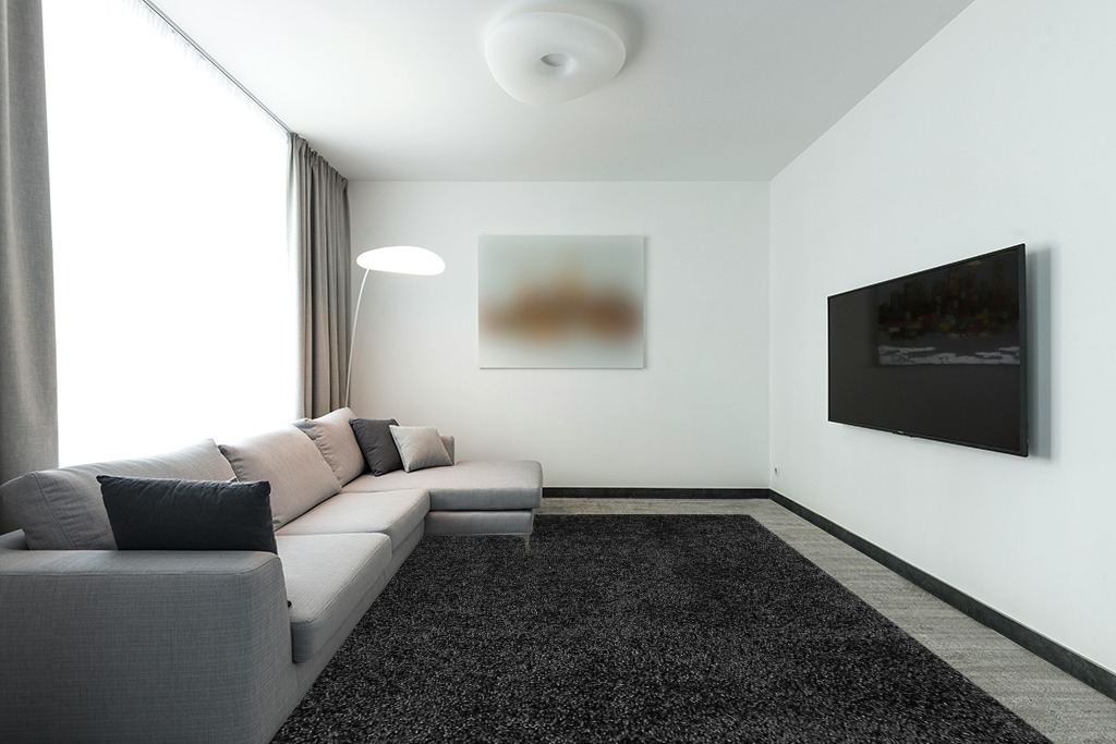 COZYLOOM Large Shag Area Rug 9x12 Luxury Soft Shaggy Rug, Plush Fluffy Indoor Floor Carpet Cozy Solid Modern Rug Anti-Skid Bedroom Floor Cover Living Room Nursery Throw Carpet Black in Modern Living Room with Grey Couch