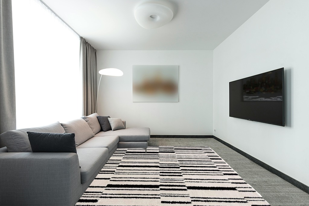 Hauteloom Deren Living Room, Bedroom Bohemian Shag Area Rug - Soft Shaggy Farmhouse - High Plush Pile - Black, White, Cream, Light Beige, Ivory - 7'10" x 10' in Modern Living Room with Grey Couch
