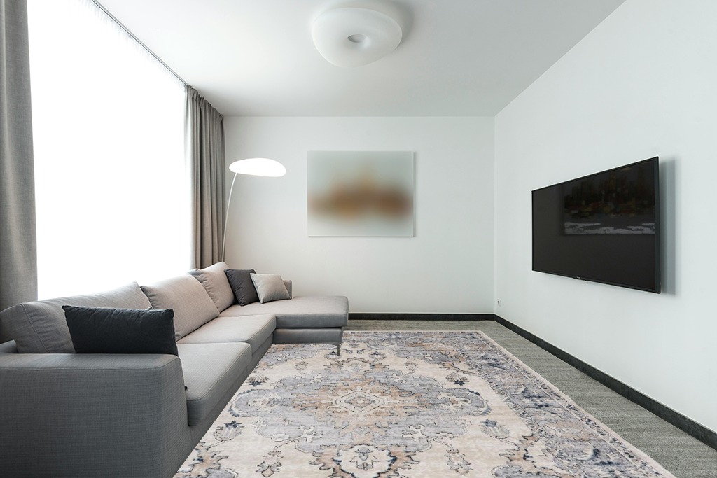 SAFAVIEH Oregon Collection Area Rug - 9' x 12', Beige & Grey, Oriental Distressed Design, Non-Shedding & Easy Care, Ideal for High Traffic Areas in Living Room, Bedroom (ORE898B) in Modern Living Room with Grey Couch