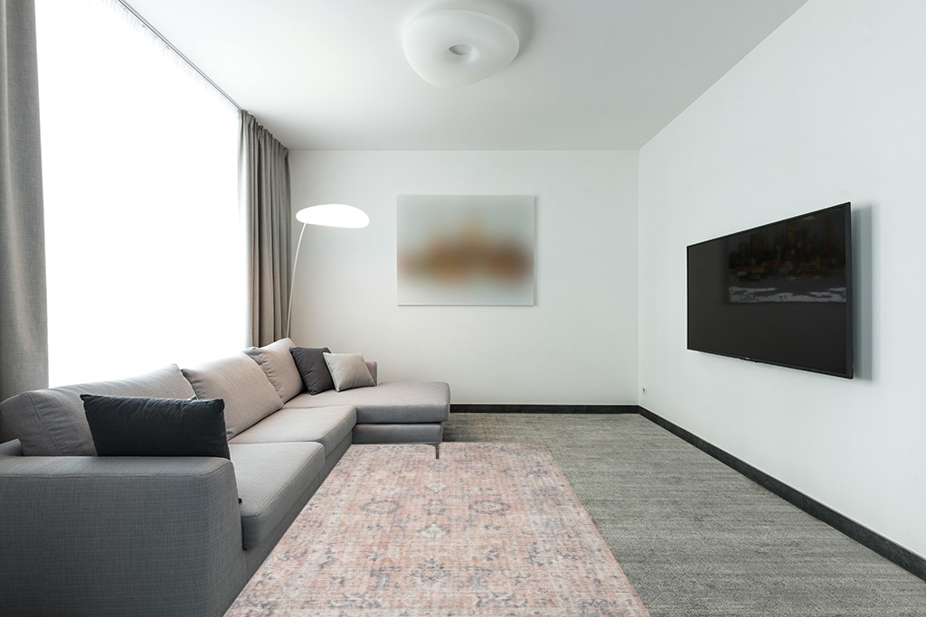 LOLOI II Skye Blush/Grey 5 ft. x 7 ft. 6 in. Traditional Polyester Pile Area Rug ... in Modern Living Room with Grey Couch