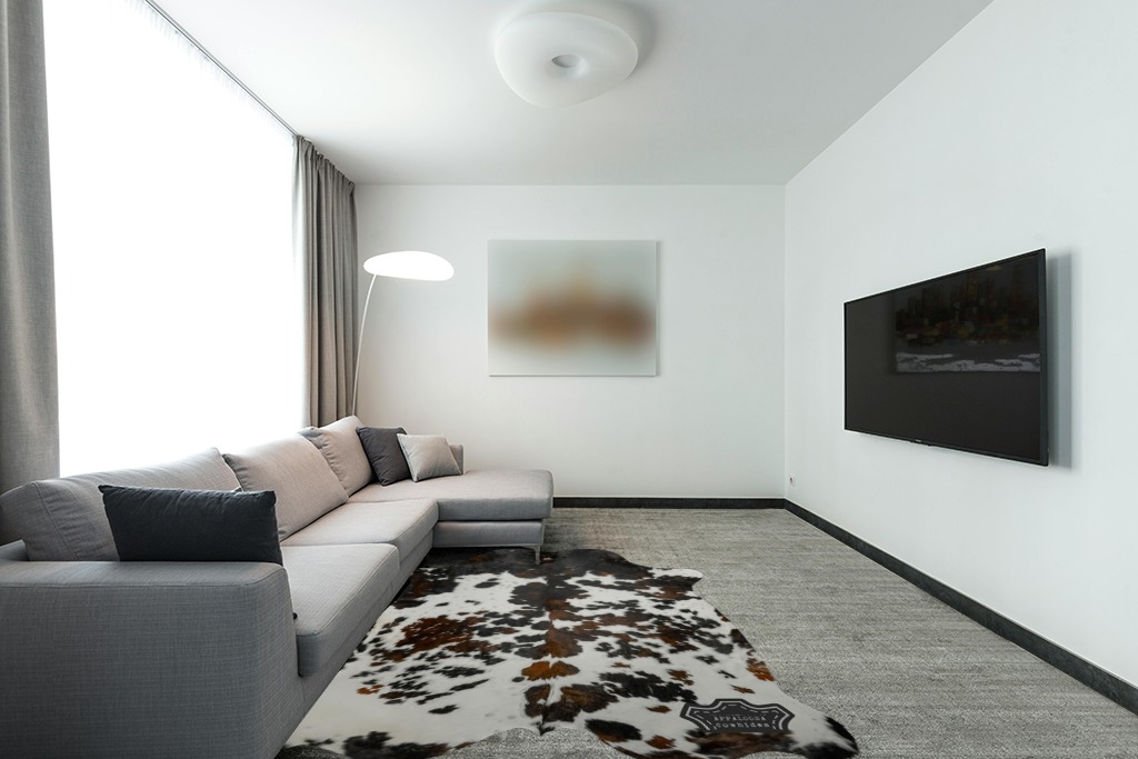 Appaloosa Cowhides Natural Cowhide Rug - Tricolor Cowhide Area Rug for Bedroom & Living Room - Luxury Cowhides Modern Accent Rug - Genuine Leather with Real Animal Fur, Original, 6 x 7 Feet in Modern Living Room with Grey Couch