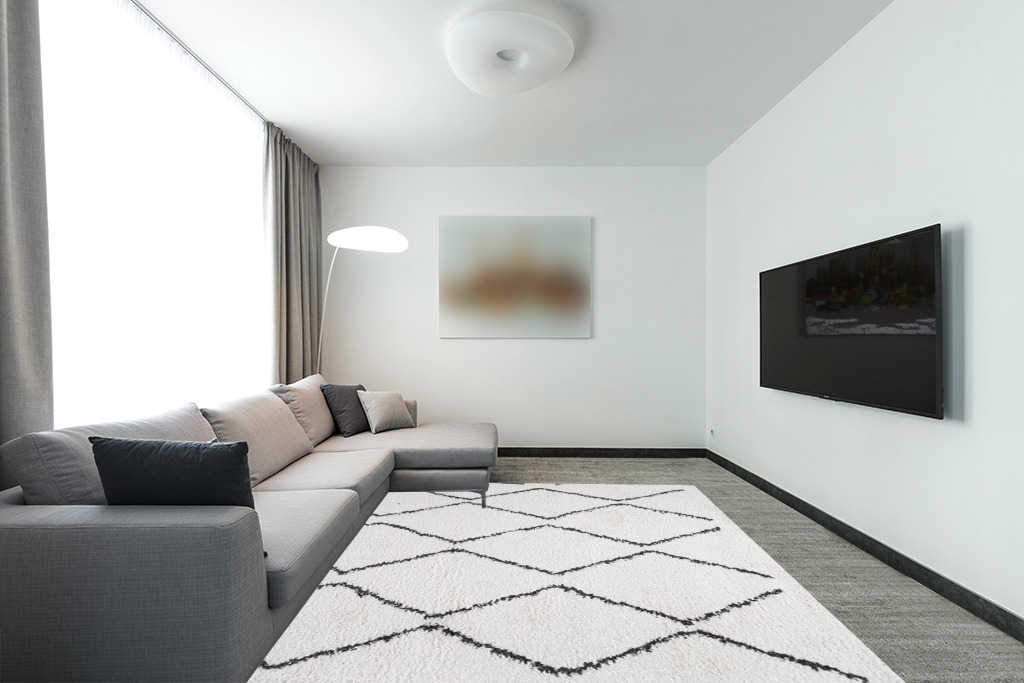 Moroccan Diamond Pattern Indoor Rug 8 X 10 in Modern Living Room with Grey Couch