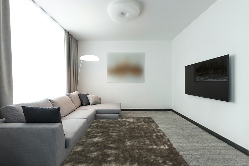 Paris Shag Collection 6' x 9' Silver in Modern Living Room with Grey Couch