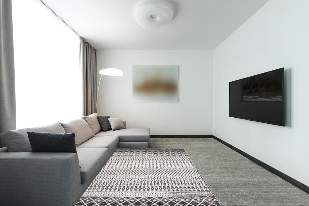 ‎Black ‎Moroccan ‎Stain Resistant, Pet friendly ‎Living Room ‎Area Rug in Modern Living Room with Grey Couch