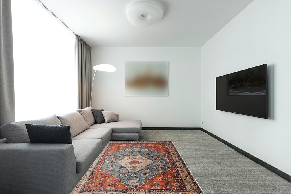 Lahome Boho Tribal Area Rug in Modern Living Room with Grey Couch