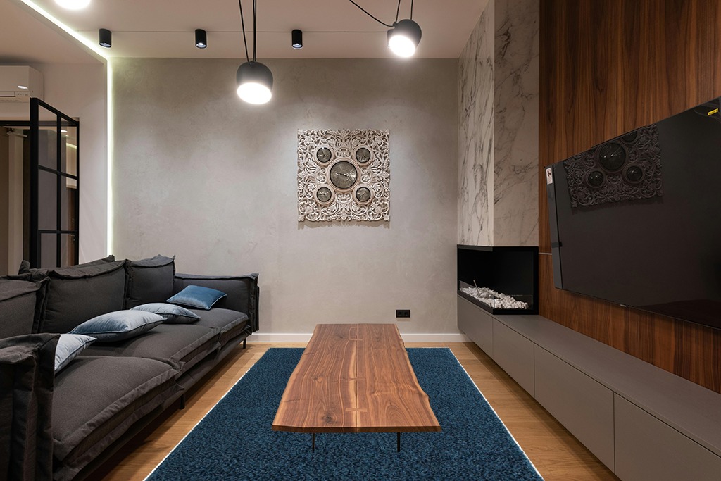 Everyday Shag Rug 6'x9' in Dark Wood Living Room with Black Couch