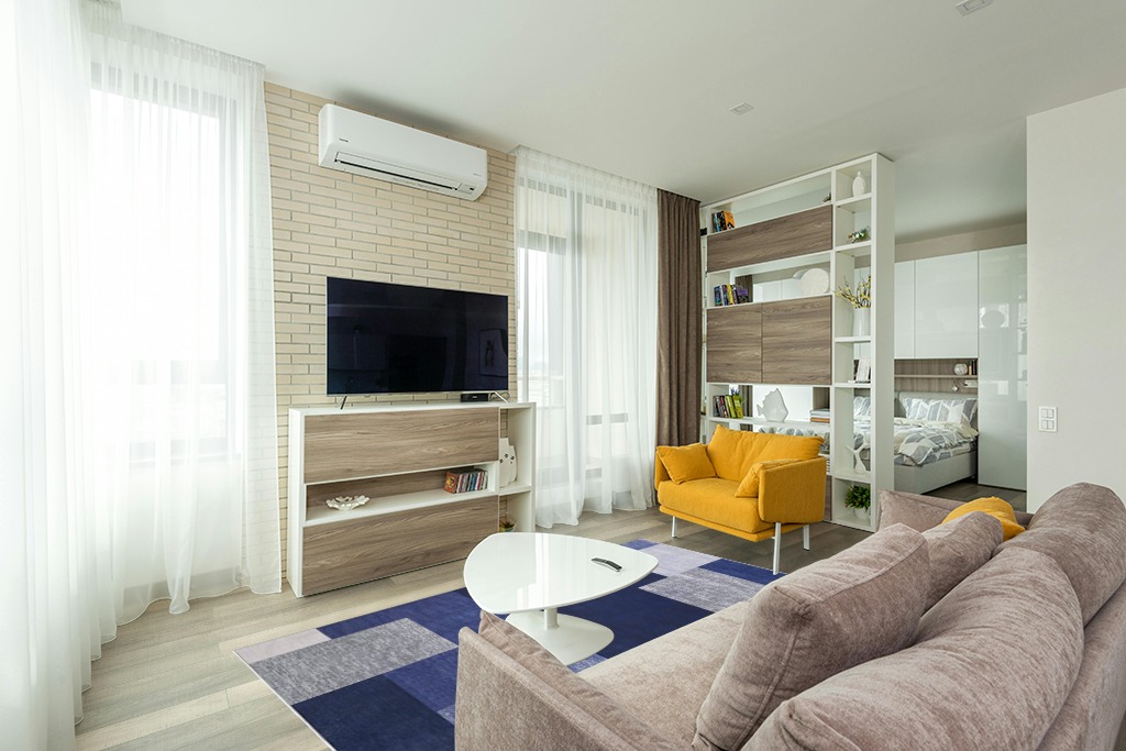 RUGSREAL Contemporary Area Rug in Light Modern Living Room with TV