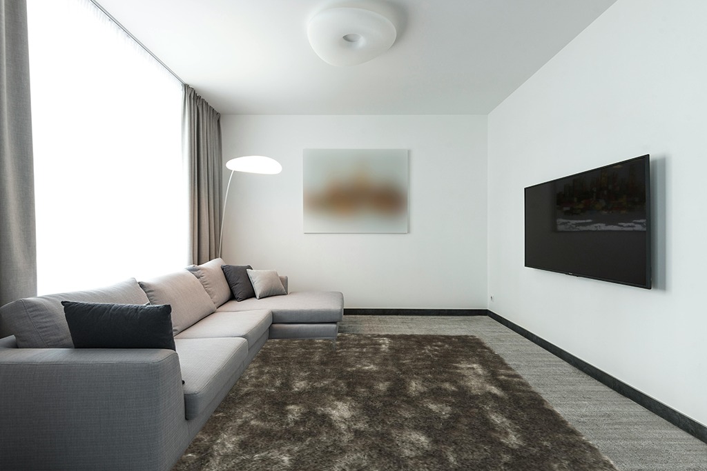 Paris Shag Collection 8' x 10' Silve in Modern Living Room with Grey Couch