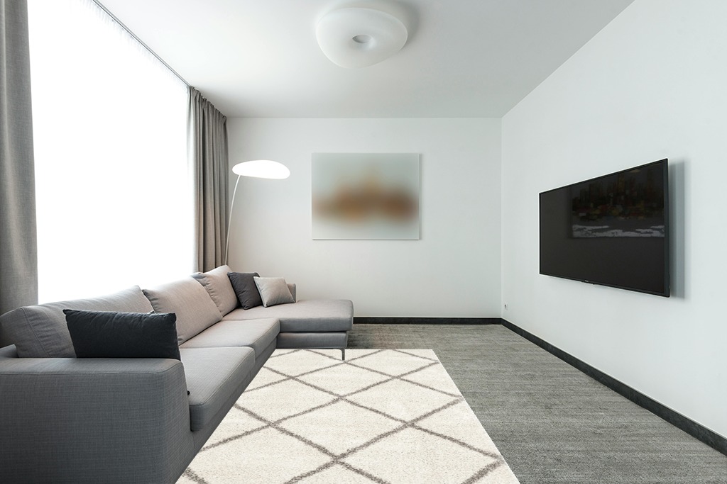 ‎Ivory/Grey ‎Shabby Chic ‎Non Slip ‎Living Room ‎Area Rug in Modern Living Room with Grey Couch