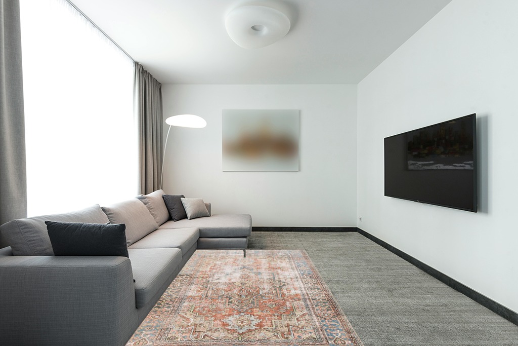 ‎Terracotta / Sky ‎Traditional ‎Stain-resistant ‎Living Room, Bedroom, Dining Room ‎Area Rug in Modern Living Room with Grey Couch