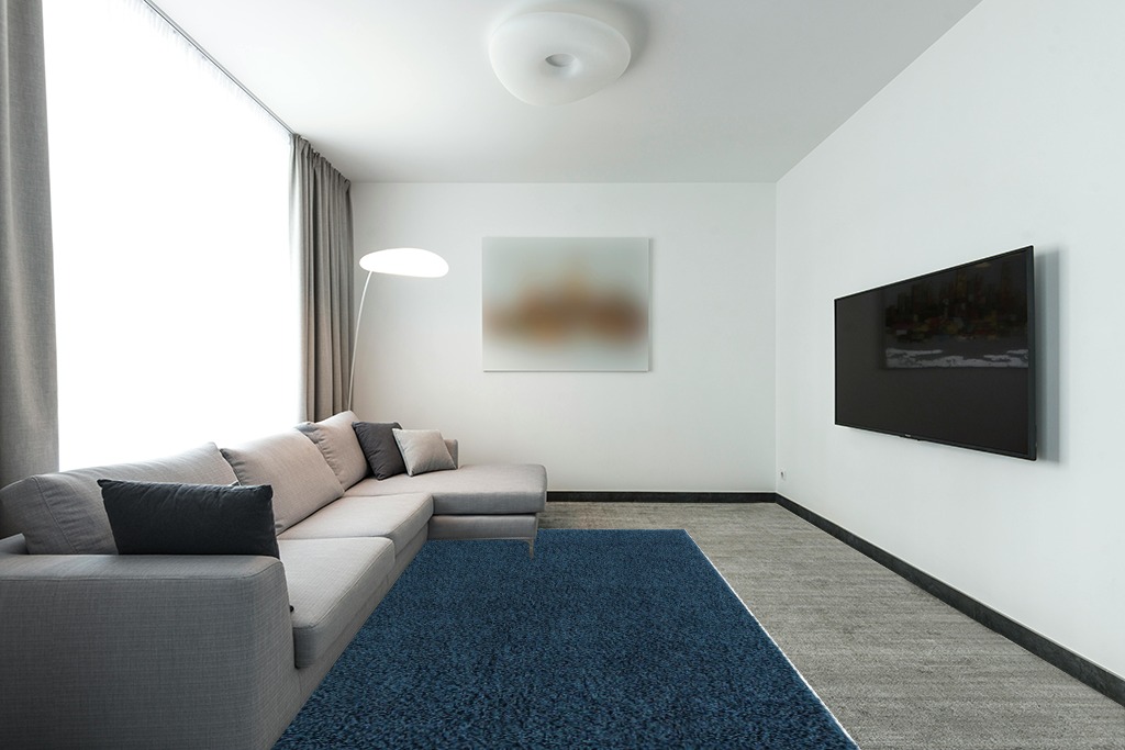 Everyday Shag Rug 6'x9' in Modern Living Room with Grey Couch