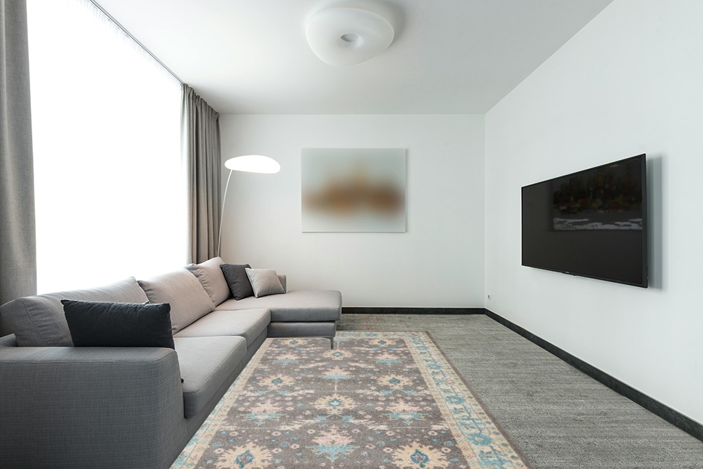 Nourison Tranquil Persian Grey/Pink 6' x 9' Area -Rug, Easy -Cleaning, Non Shedding, Bed Room, Living Room, Dining Room, Kitchen (6x9) in Modern Living Room with Grey Couch