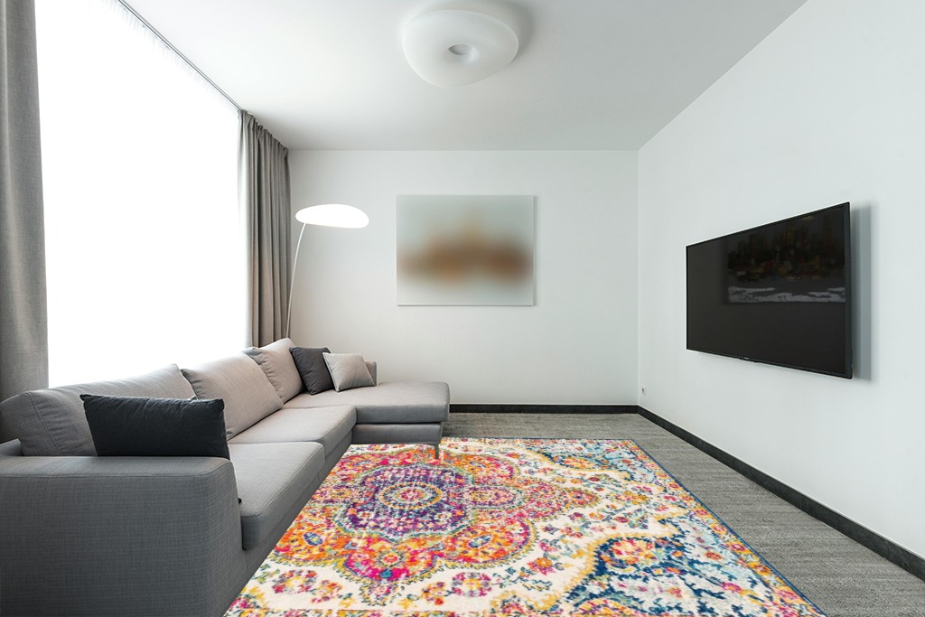Orange Traditional Stain Resistant Living Room Area Rug in Modern Living Room with Grey Couch