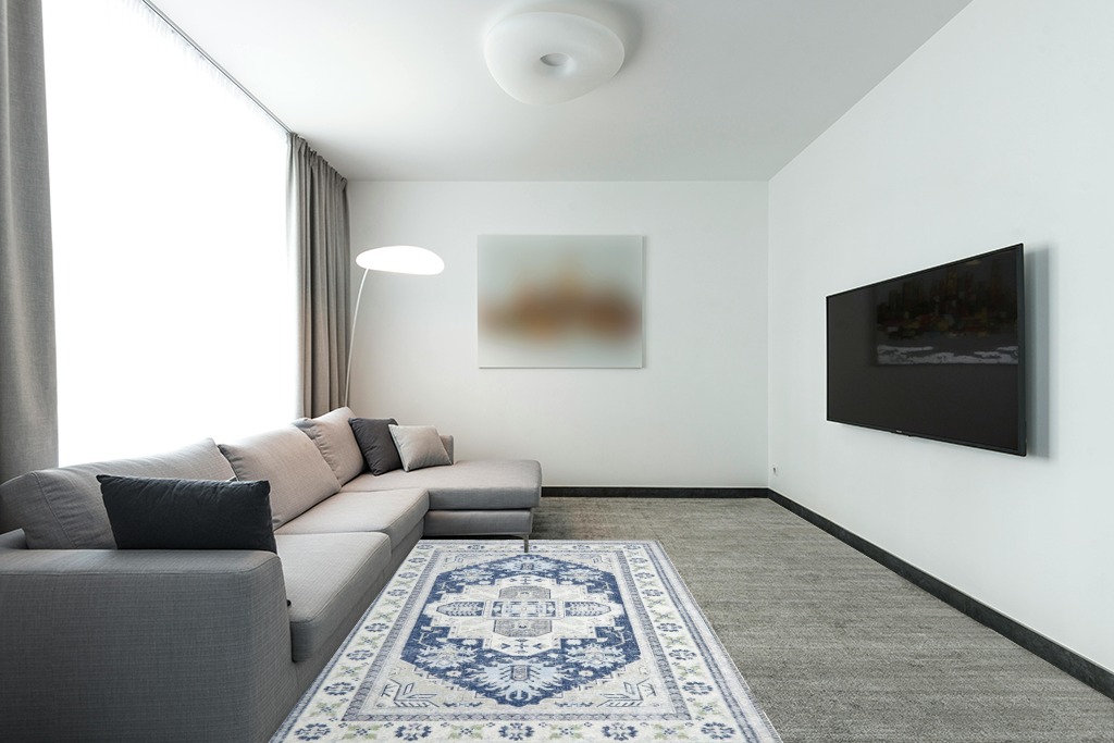 Zacoo Washable Rug 5x7 Area Rugs Boho Rug Vintage Area Rugs for Living Room Bedroom Dining Room Distressed Non Slip Rugs Carpet Non Shedding Oriental Rug, Blue in Modern Living Room with Grey Couch