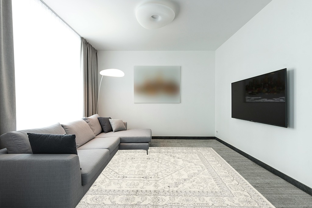 Ivory/Silver Rectangle Stain Resistant,Non Shedding Living Room Area Rug in Modern Living Room with Grey Couch