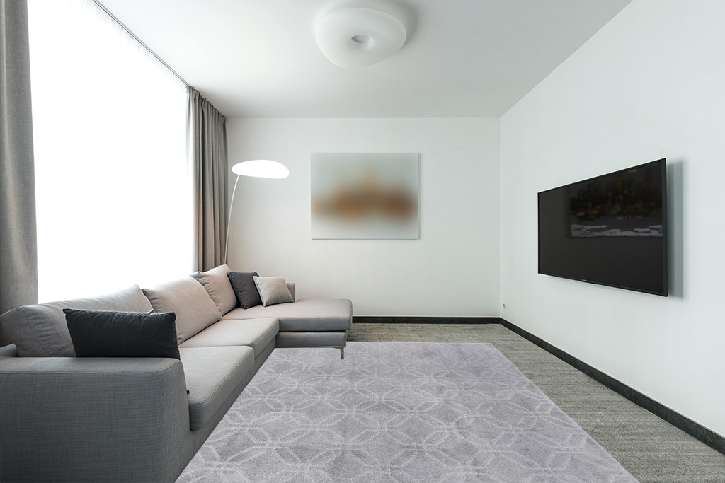 Safavieh Pattern and Solid Collection Area Rug - 8' x 10', Grey, Geometric Design, Non-Shedding & Easy Care, Ideal for High Traffic Areas in Living Room, Bedroom (PNS406F) in Modern Living Room with Grey Couch