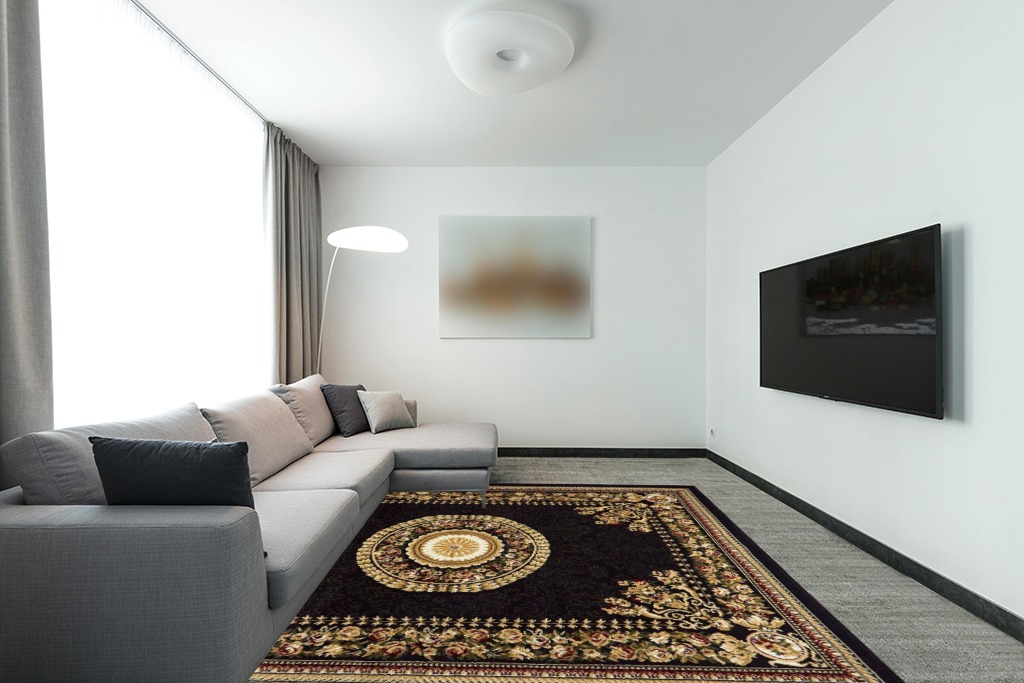 Home Dynamix Optimum Athens Area Rug 7'8" x10'4 , Updated Oriental Medallion, Black/Beige in Modern Living Room with Grey Couch