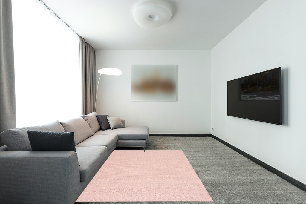 Safavieh 6'5" x 9'6" Terracotta/Ivory Hampton HTN-230 Area Rug in Modern Living Room with Grey Couch