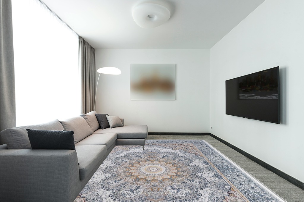 9x12 Area Rug for Living Room: Large Rugs Machine Washable with Non-Slip Backing Non-Shedding Stain Resistant, Boho Carpet for Bedroom Dining Room Nursery Home Office Indoor Decor (Blue/Brown) in Modern Living Room with Grey Couch