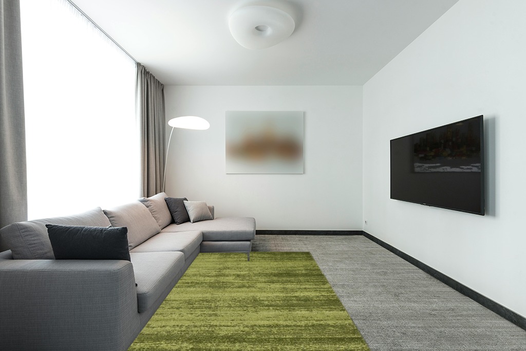 ‎Green/Hunter Green ‎Casual ‎Stain-resistant ‎Area Rug in Modern Living Room with Grey Couch