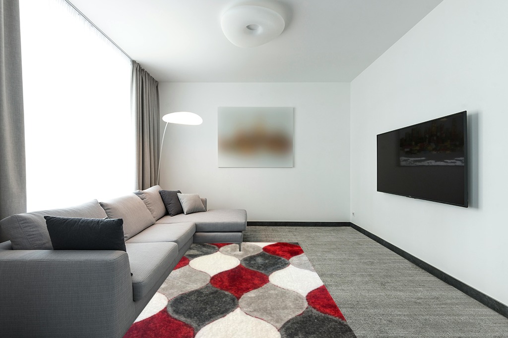 United Rugs - 4D Shaggy 6488 Thick Soft Plush Modern Shag Stain-Resistant Area Rug (Red, 5' x 7') in Modern Living Room with Grey Couch